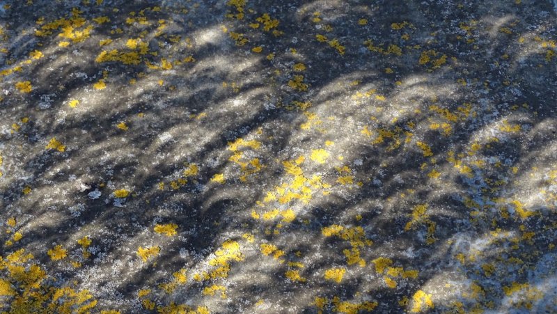 Eclipse Shadows on Stone Bench