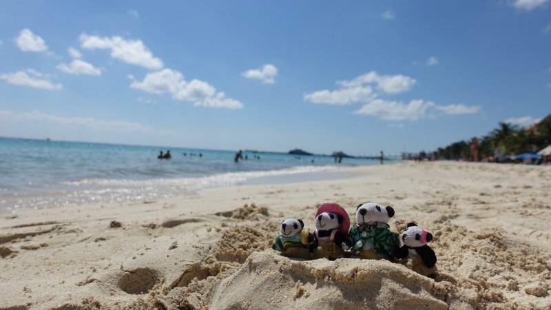 The Pandafords in Playa del Carmen