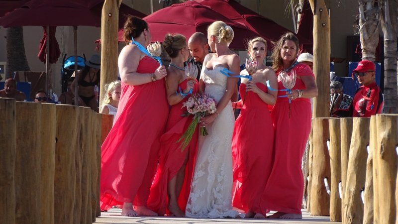 Bridal Party Photo Time