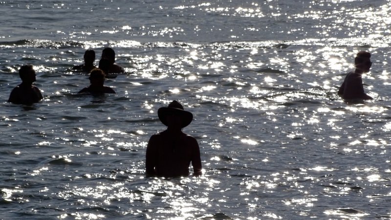 Ocean Swimmers