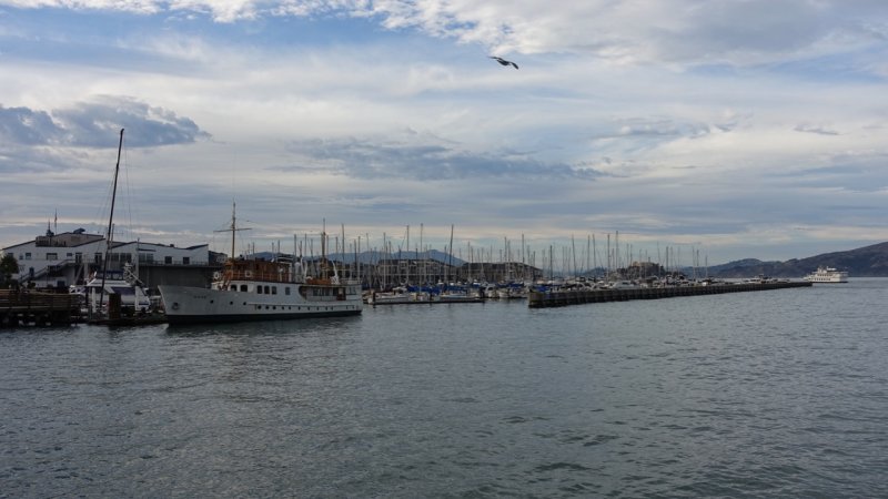 View from Pier 35