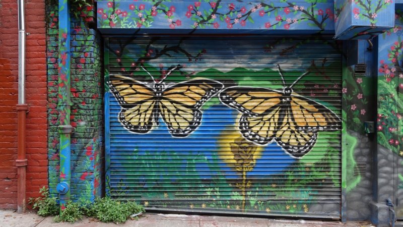 Quincy Street Mariposas