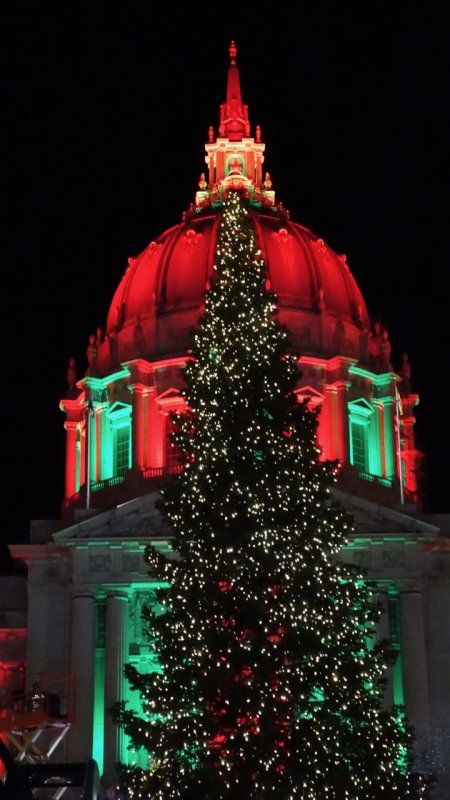Civic Center Christmas Tree