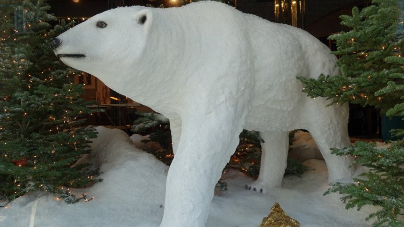 Urban Polar Bear