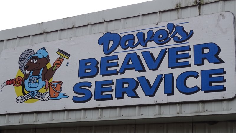 Daves Beaver Service
