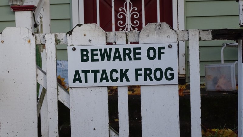 Beware of Attack Frog