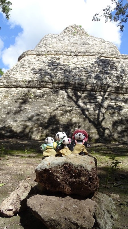 The Pandafords Visit Coba Ruins