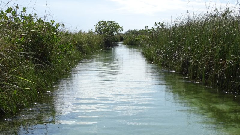 Sian Ka'an Biosphere Reserve