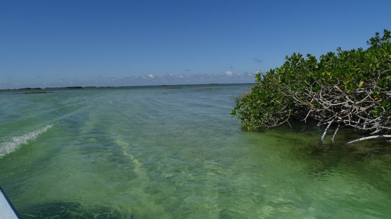 Sian Ka'an Biosphere Reserve