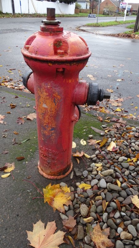 Foster-Powell Fire Hydrant
