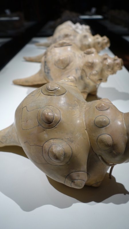 Teotihuacan Seashells Artifacts