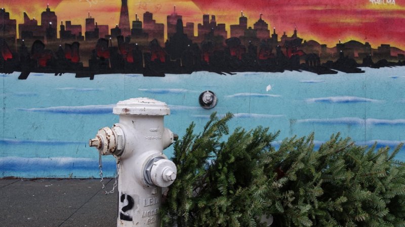 Fire Hydrant, Christmas Tree, SF Street Art
