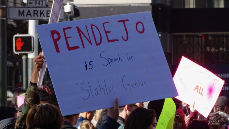 Pendejo is Spanish for Stable Genius