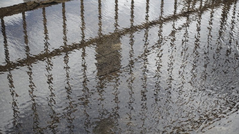 Puddle Ripples