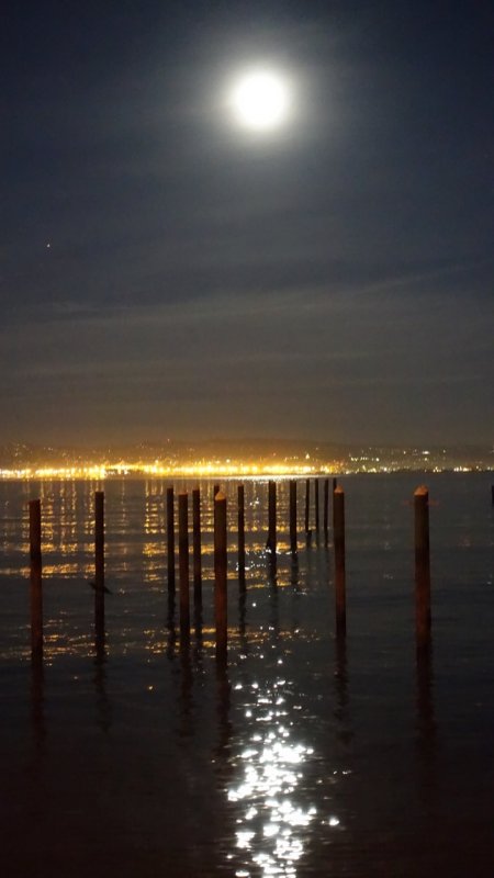 Moonrise Over San Francisco Bay