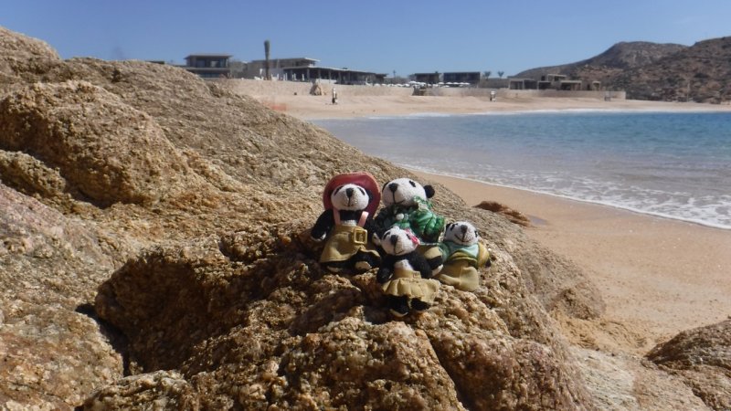 The Pandafords visit Santa Maria Beach Los Cabos