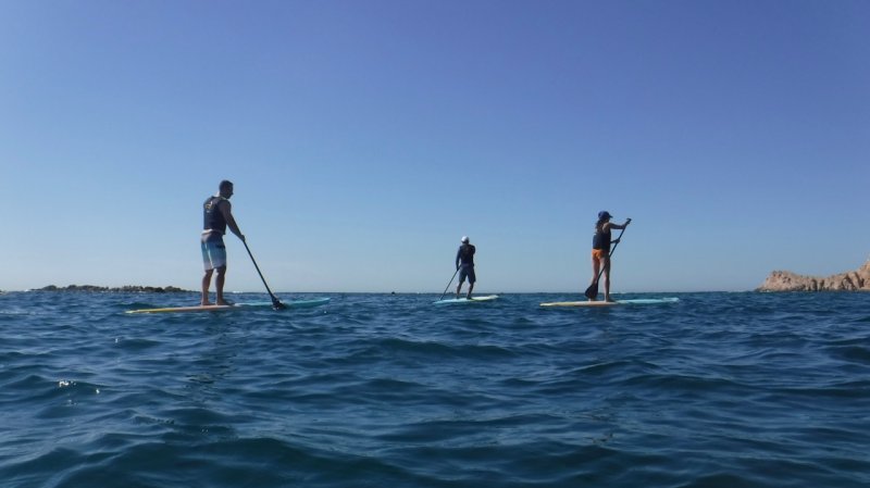 Chileno Bay Paddle Boarders