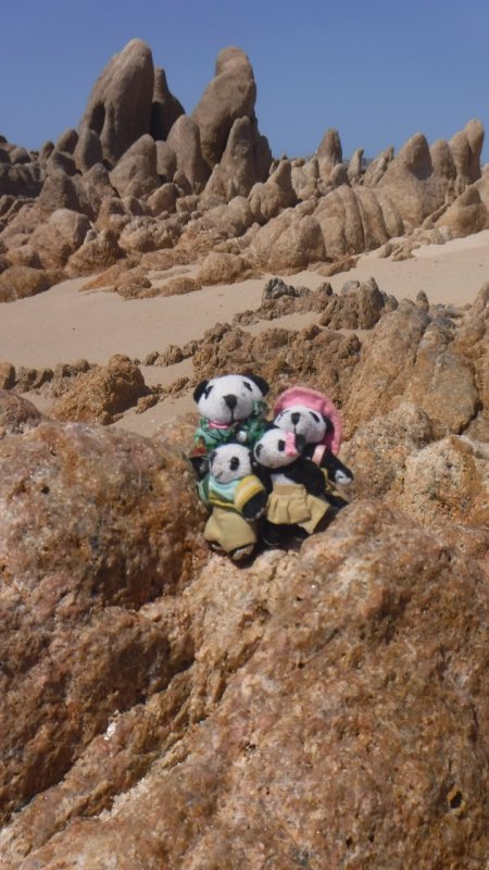 The Pandafords visit Playa el Tule, Los Cabos, Mexico