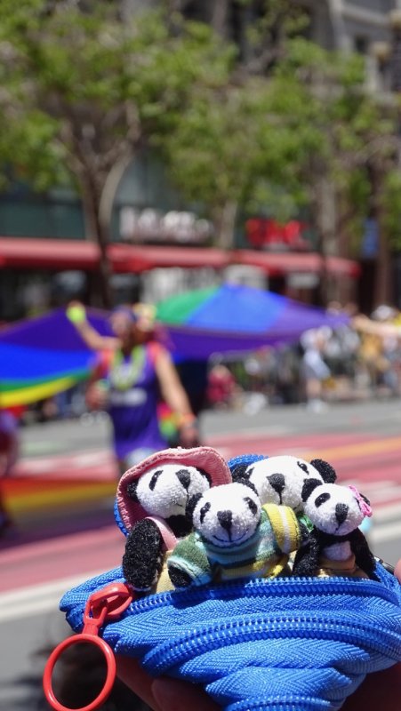The Pandafords at the San Francisco 2018 Pride Parade