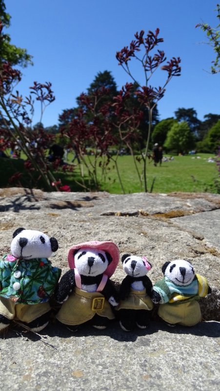 The Pandfords visit the San Francisco Botanical Garden
