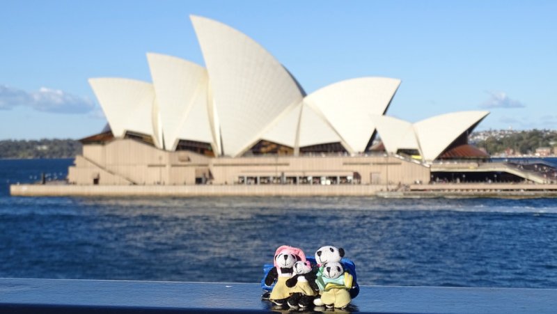 The Pandafords visit Sydney Harbour