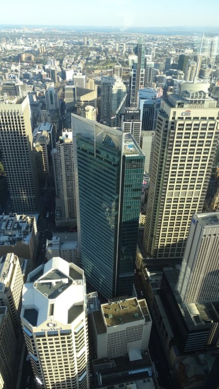 Sydney Tower Eye View