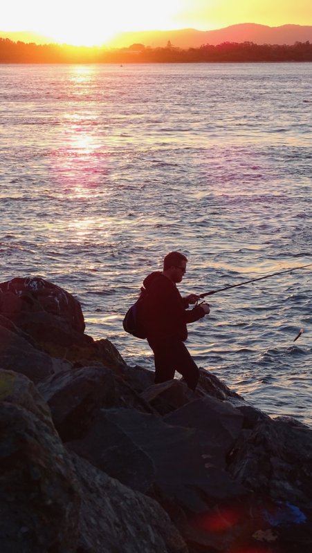 Port Macquarie Fisherman