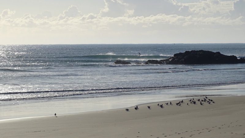 Town Beach, Port Macquarie