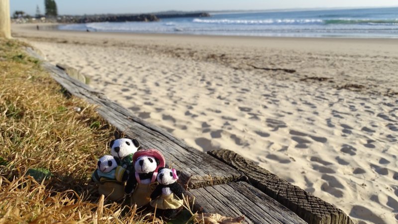 The Pandafords visit Town Beach, Port Macquarie, Australia
