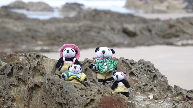 The Pandafords visit Snapper Rocks, Queensland, Australia
