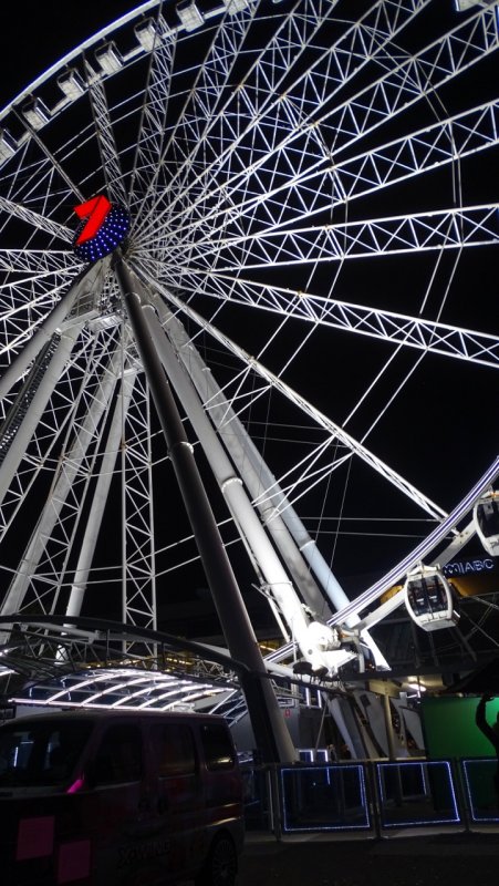 The Wheel of Brisbane