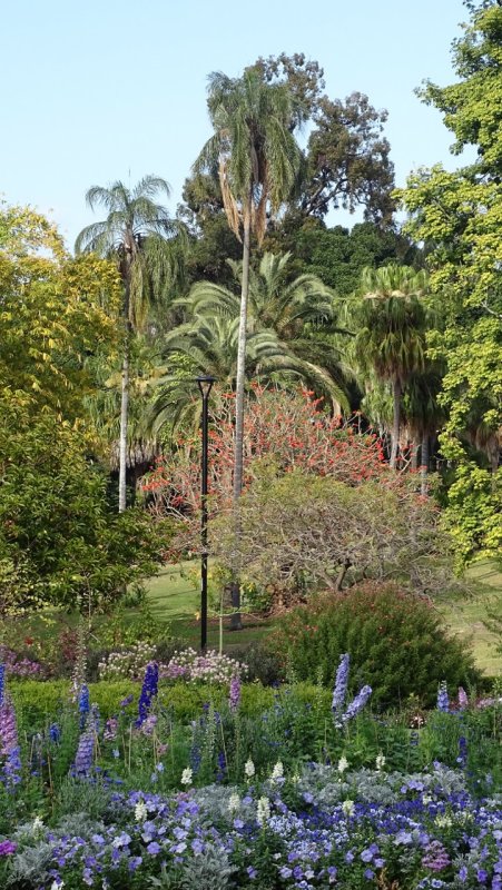 Brisbane City Botanic Gardens