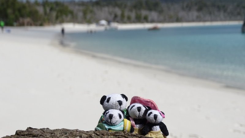 The Pandafords at Whitehaven Beach