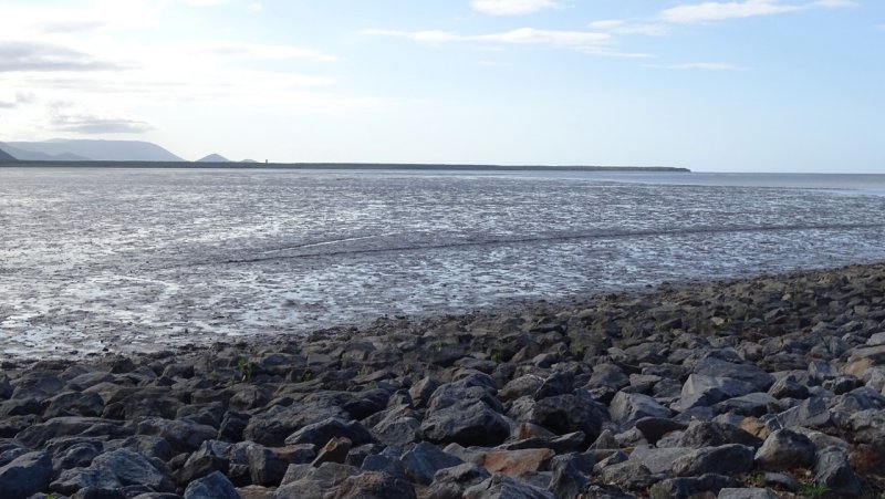 Low tide mud flats at Cairns