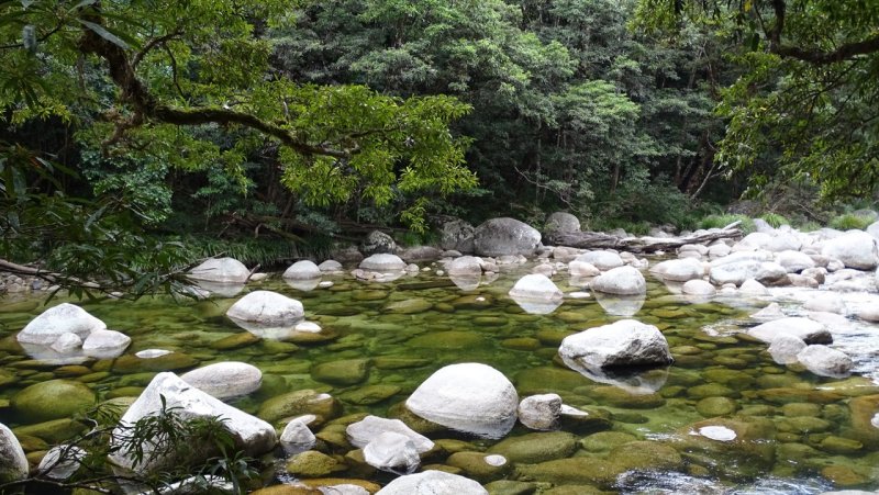 Mossman Gorge