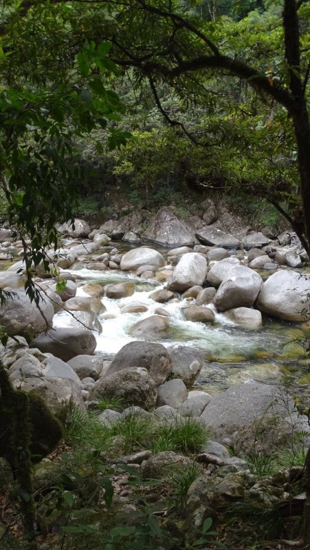 Mossman Gorge