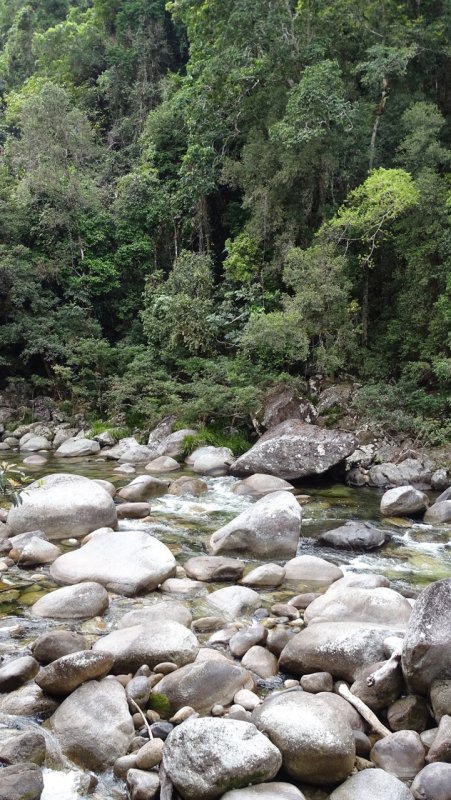 Mossman Gorge