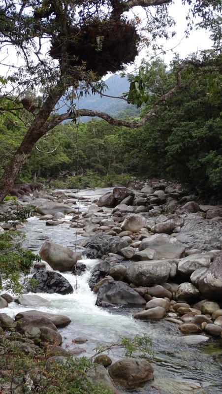 Mossman Gorge