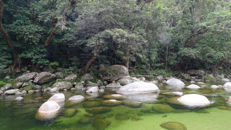 Mossman Gorge