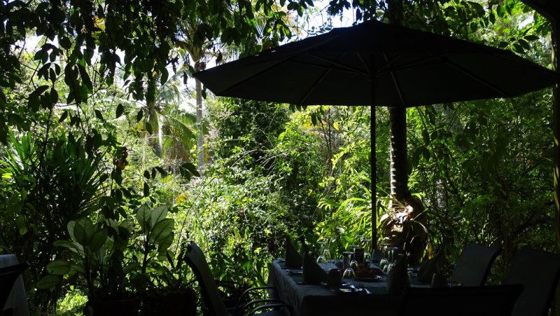 Daintree Teahouse Restaurant