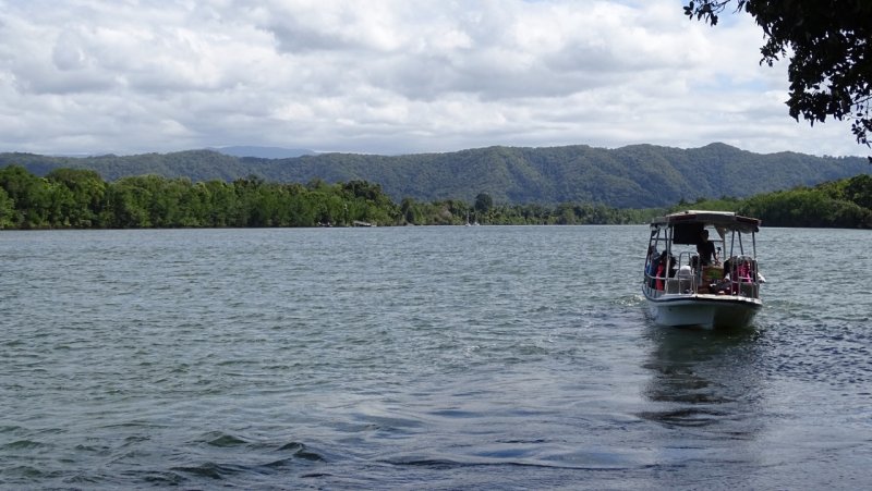 Daintree River