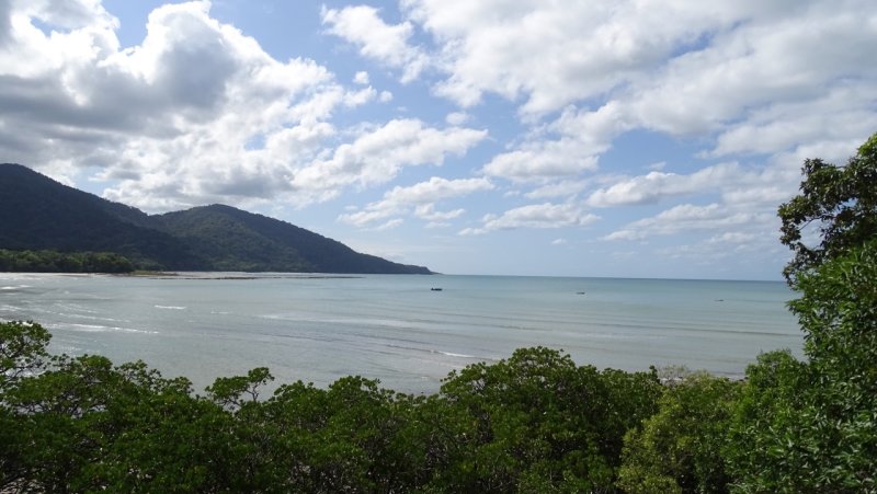 Cape Tribulation