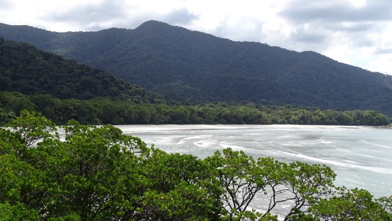 Cape Tribulation