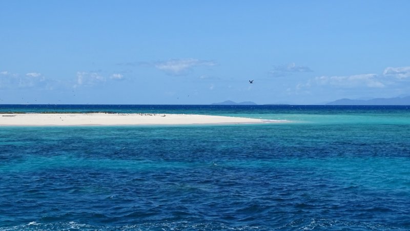 Michaelmas Cay