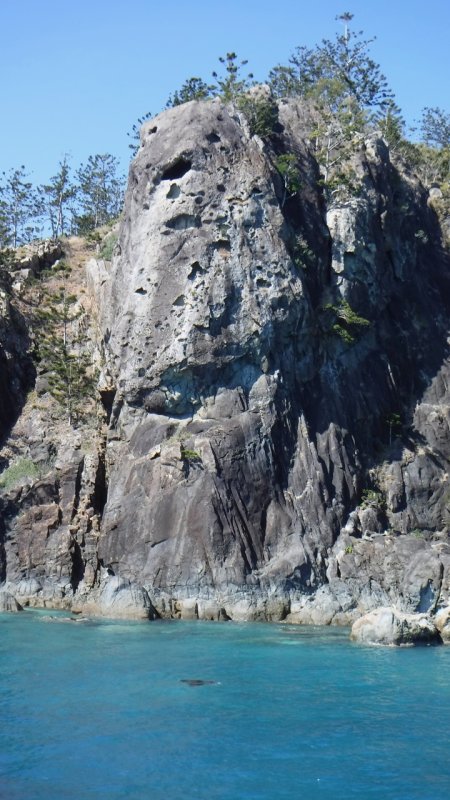 Manta Ray swimming near cliffs