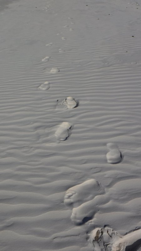 Whitehaven Beach Footprints