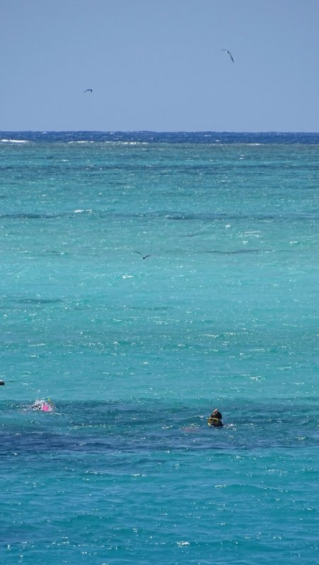 Hastings Reef