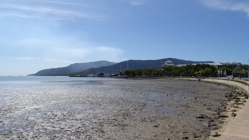 Low Tide in Cairns