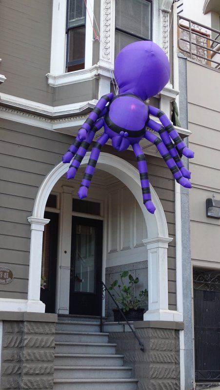 Pleasant Street Spider