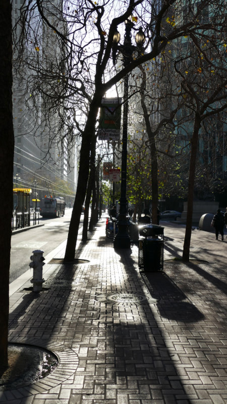 Market Street Shadows